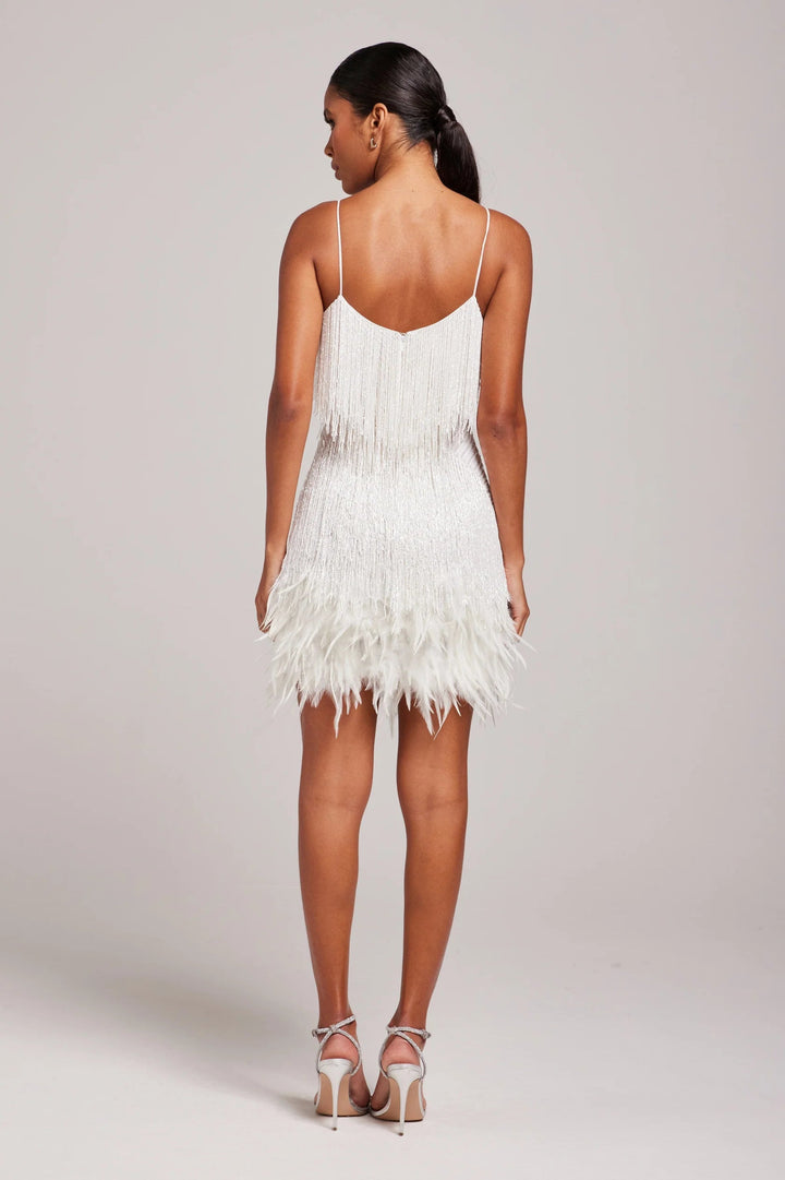 Women's Cocktail Dress with Fringe Feathers